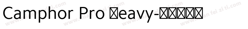 Camphor Pro Heavy字体转换